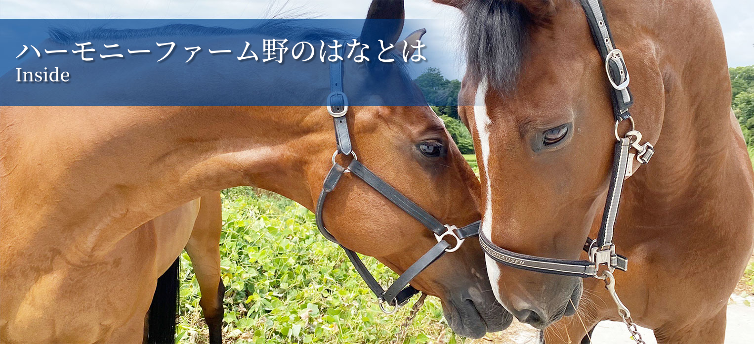 ハーモニーファーム野のはなとは